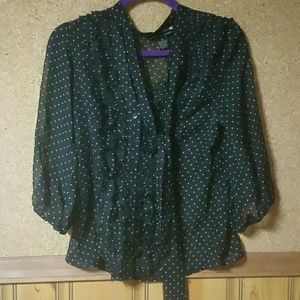 Sheer Blouse ( NWOT)